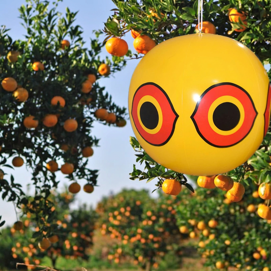 Inflatable scare eye balloon bird repeller in a garden - lifestyle