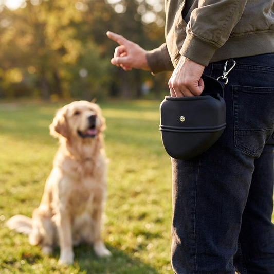 Person wearing a dog treat training pouch outdoors - lifestyle