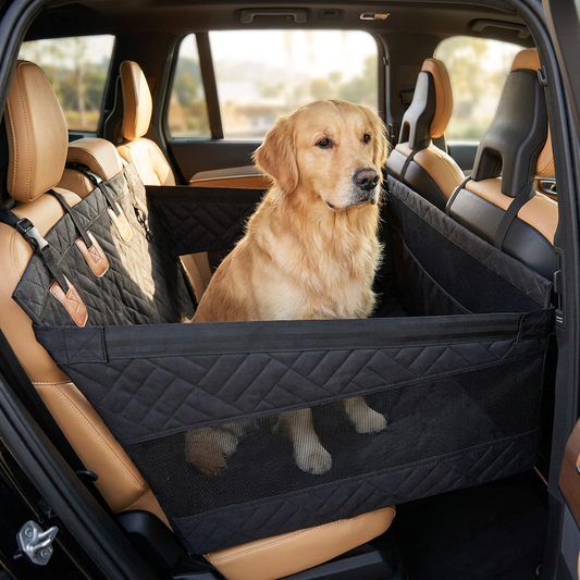 Dog sitting on a car safety mat in the back seat - lifestyle