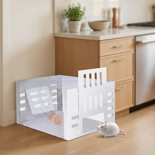Self-activating mouse trap in a kitchen corner - lifestyle